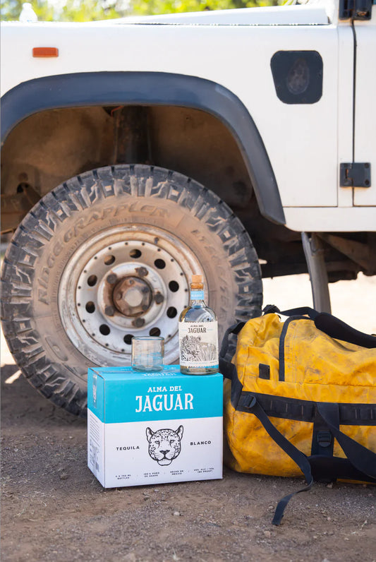 Top 10 Bartending Tools every Tequila Lover Needs for Camping